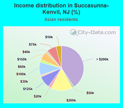 Income distribution in Succasunna-Kenvil, NJ (%)