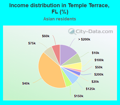 Income distribution in Temple Terrace, FL (%)