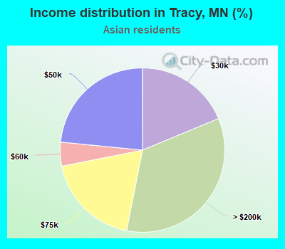 Income distribution in Tracy, MN (%)