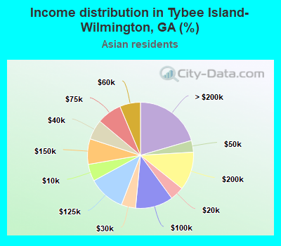 Income distribution in Tybee Island-Wilmington, GA (%)