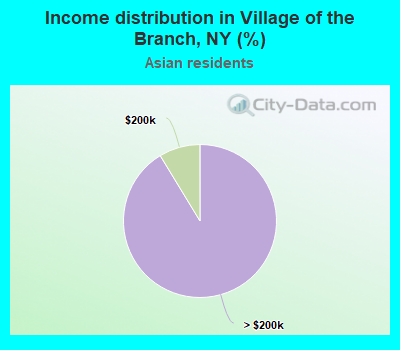 Income distribution in Village of the Branch, NY (%)