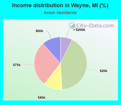 Income distribution in Wayne, MI (%)