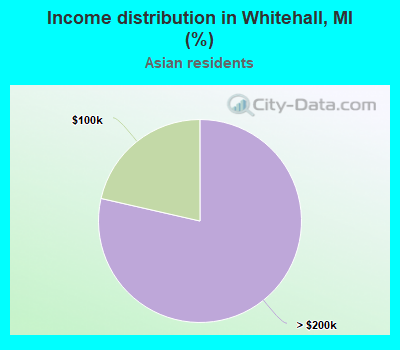 Income distribution in Whitehall, MI (%)