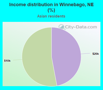Income distribution in Winnebago, NE (%)