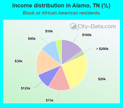 Income distribution in Alamo, TN (%)