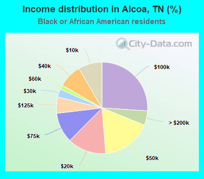 Income distribution in Alcoa, TN (%)