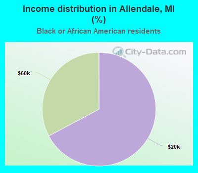 Income distribution in Allendale, MI (%)