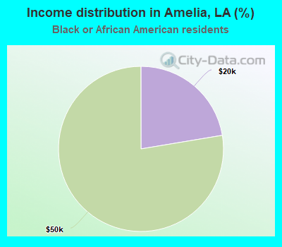 Income distribution in Amelia, LA (%)