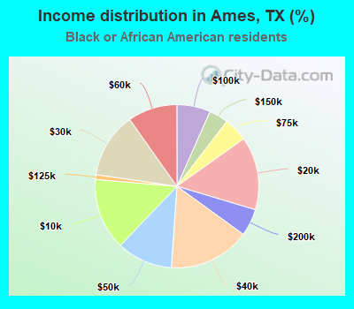 Income distribution in Ames, TX (%)