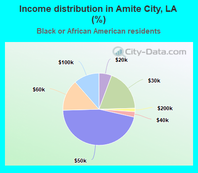 Income distribution in Amite City, LA (%)