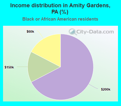 Income distribution in Amity Gardens, PA (%)