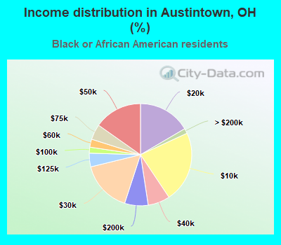 Income distribution in Austintown, OH (%)