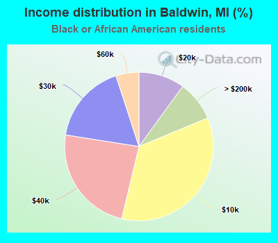 Income distribution in Baldwin, MI (%)