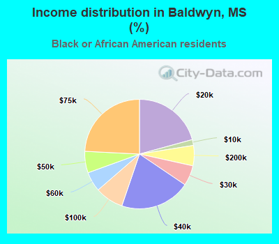 Income distribution in Baldwyn, MS (%)
