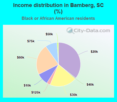 Income distribution in Bamberg, SC (%)