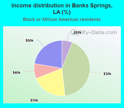 Income distribution in Banks Springs, LA (%)