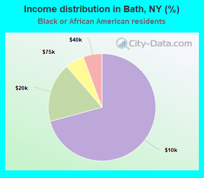 Income distribution in Bath, NY (%)
