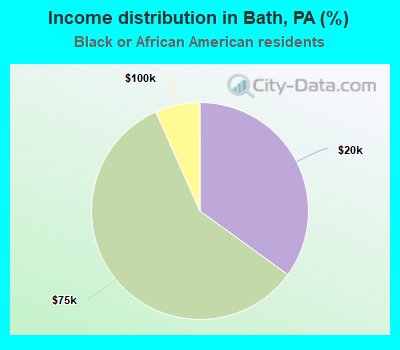 Income distribution in Bath, PA (%)