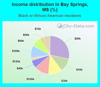 Income distribution in Bay Springs, MS (%)