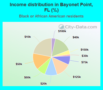 Income distribution in Bayonet Point, FL (%)