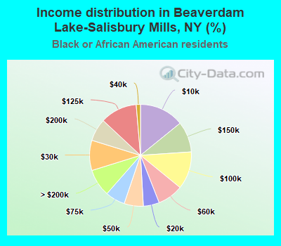 Income distribution in Beaverdam Lake-Salisbury Mills, NY (%)