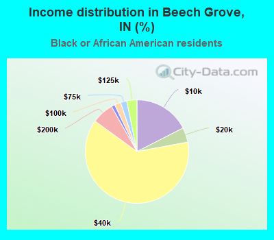 Income distribution in Beech Grove, IN (%)