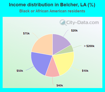 Income distribution in Belcher, LA (%)