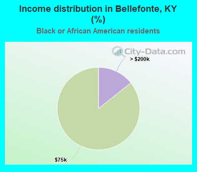 Income distribution in Bellefonte, KY (%)