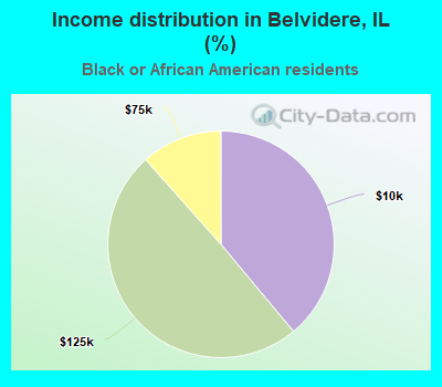 Income distribution in Belvidere, IL (%)