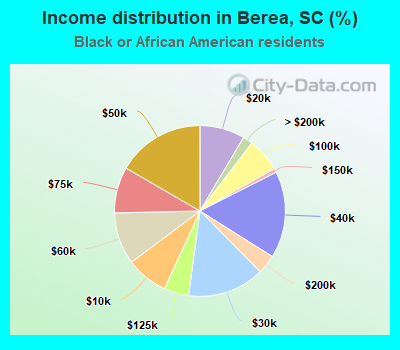 Income distribution in Berea, SC (%)