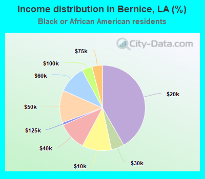 Income distribution in Bernice, LA (%)