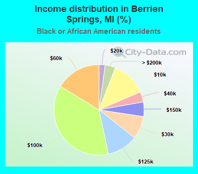 Income distribution in Berrien Springs, MI (%)