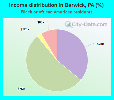 Income distribution in Berwick, PA (%)