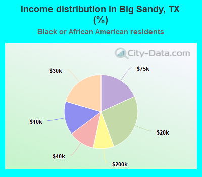 Income distribution in Big Sandy, TX (%)