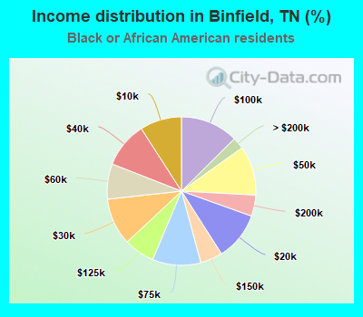 Income distribution in Binfield, TN (%)