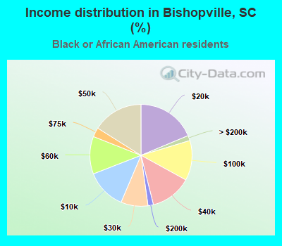 Income distribution in Bishopville, SC (%)