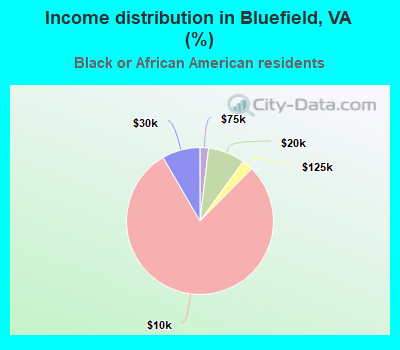 Income distribution in Bluefield, VA (%)