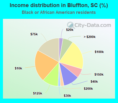 Income distribution in Bluffton, SC (%)