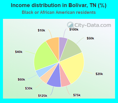 Income distribution in Bolivar, TN (%)