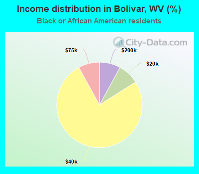 Income distribution in Bolivar, WV (%)