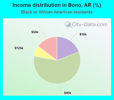 Income distribution in Bono, AR (%)