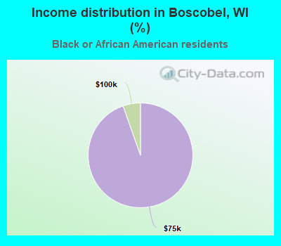 Income distribution in Boscobel, WI (%)