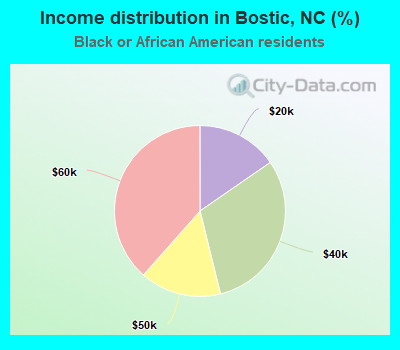 Income distribution in Bostic, NC (%)