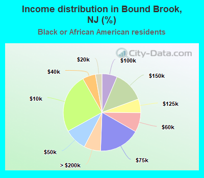 Income distribution in Bound Brook, NJ (%)