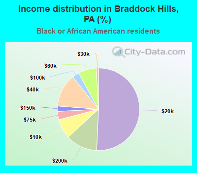 Income distribution in Braddock Hills, PA (%)