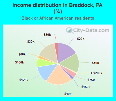 Income distribution in Braddock, PA (%)