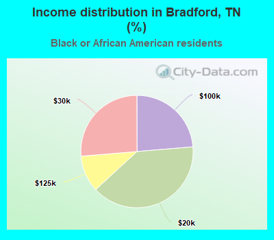 Income distribution in Bradford, TN (%)