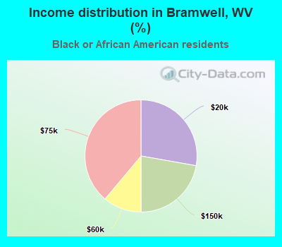 Income distribution in Bramwell, WV (%)