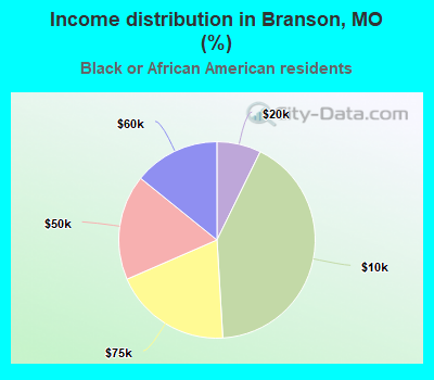 Income distribution in Branson, MO (%)