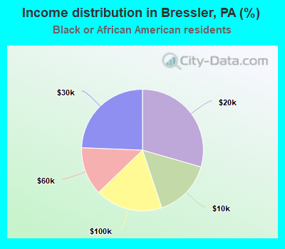 Income distribution in Bressler, PA (%)